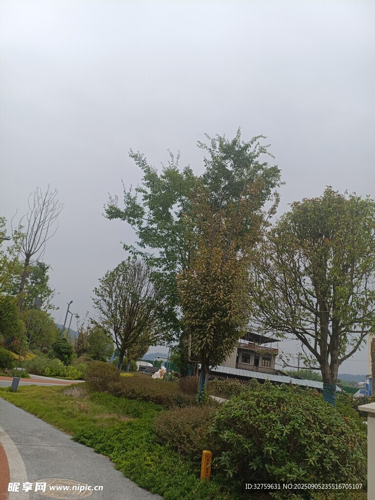 公园蜿蜒小径与葱郁树木