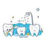 牙齿欢乐洗澡时刻