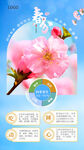 春日桃花护肤四季养生宣传海报