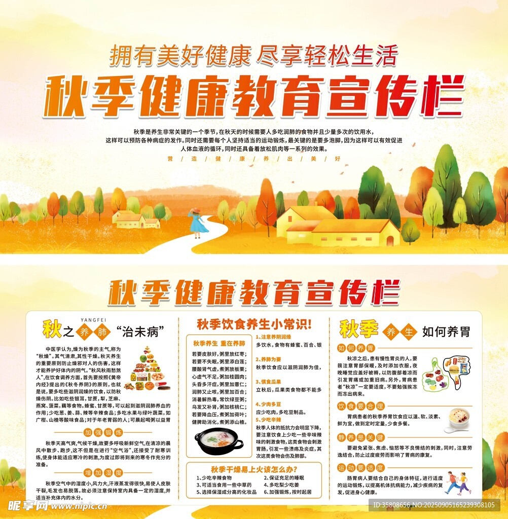 秋季健康教育宣传栏