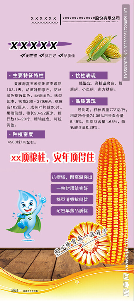 玉米种子宣传海报展架