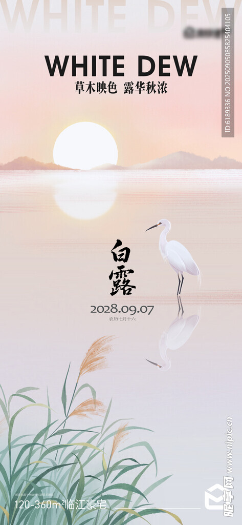节气海报