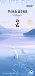 白露海报
