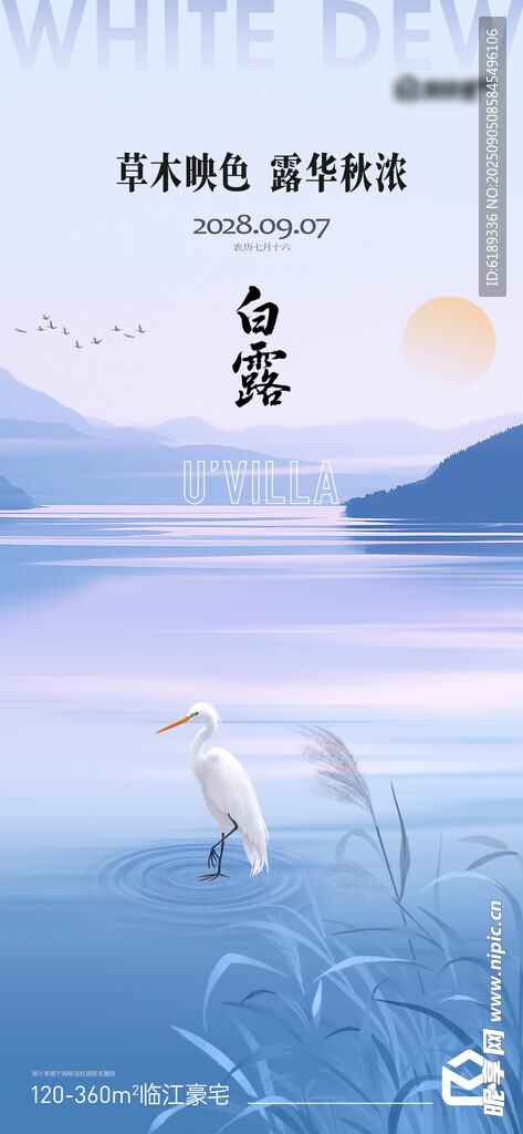白露海报