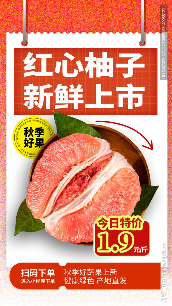 红心柚子