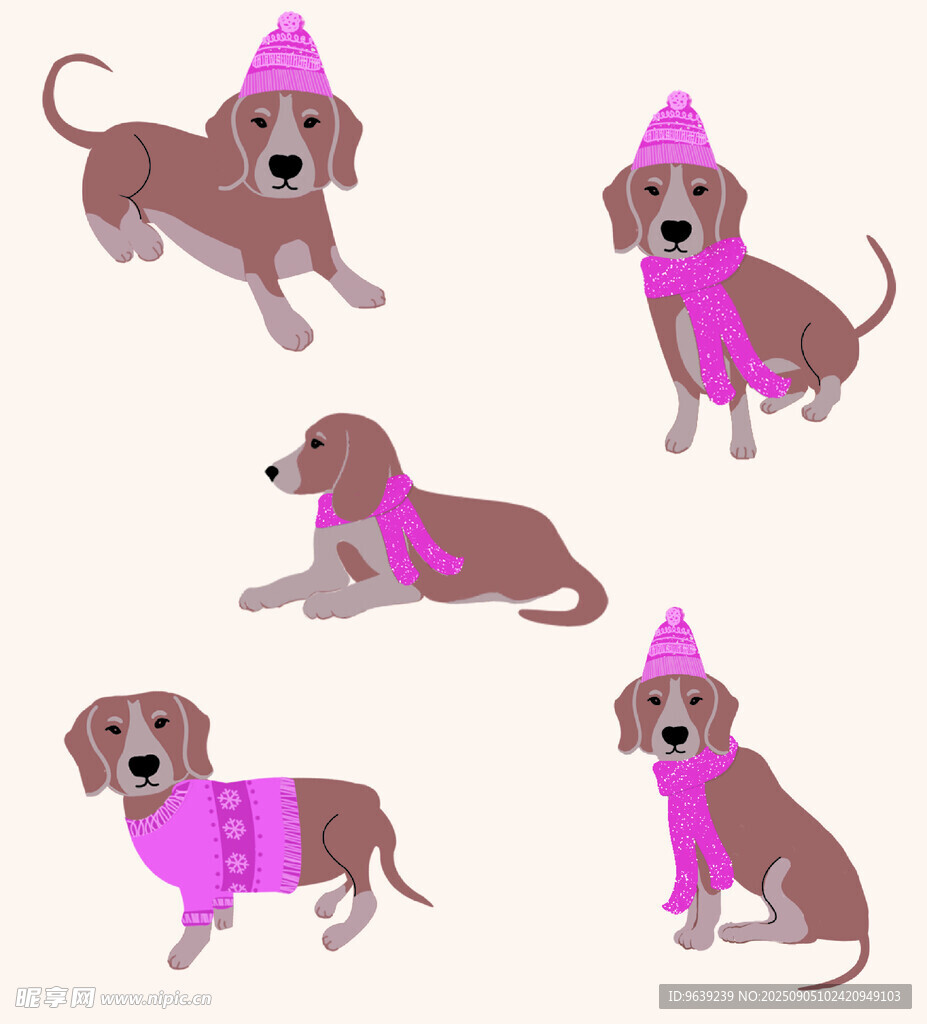 戴帽穿衣的可爱腊肠犬