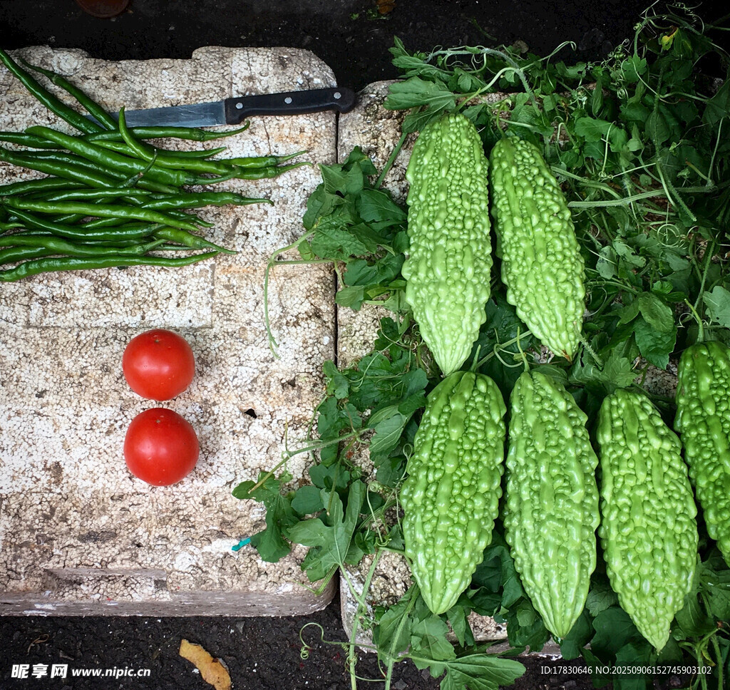 新鲜蔬菜组合