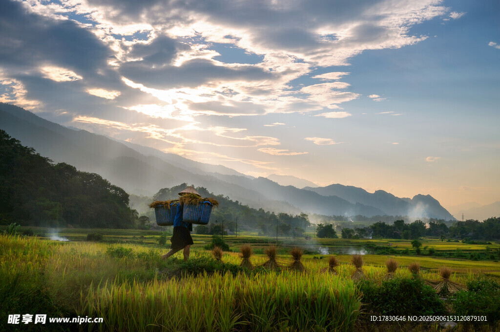 田园劳作美景
