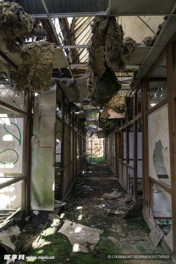 废弃屋内的破败景象