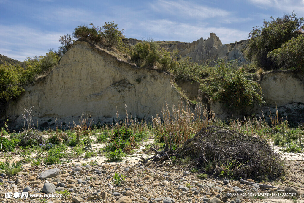 山坡上的植被与裸露土地