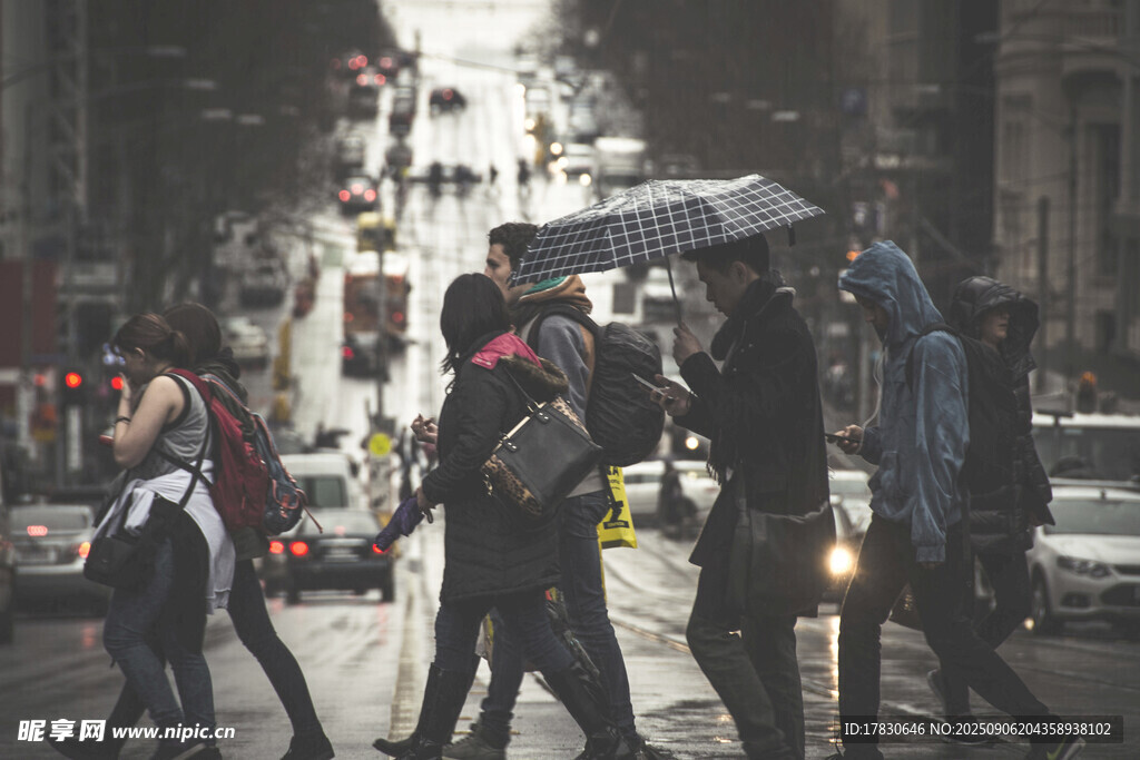 雨中街头行人撑伞景象