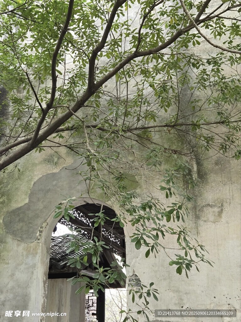 中式庭院一角的静谧景致