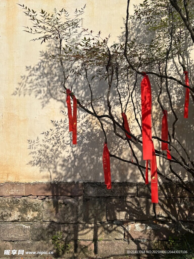 树枝挂红绸 古朴景致