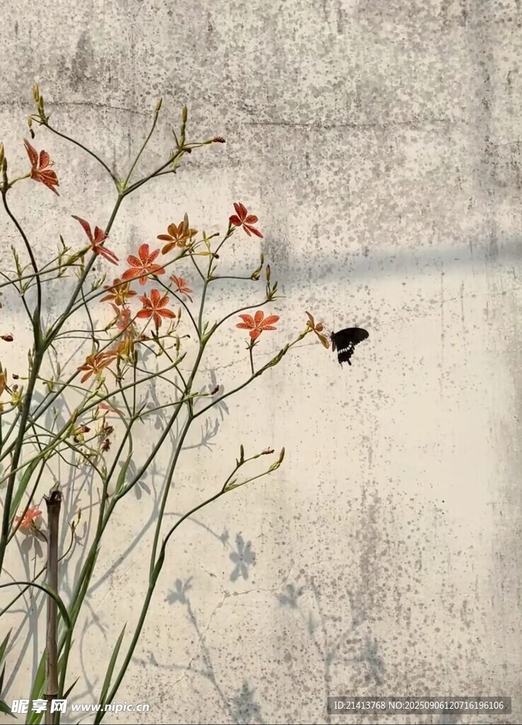 花鸟图 古朴背景中的灵动瞬间