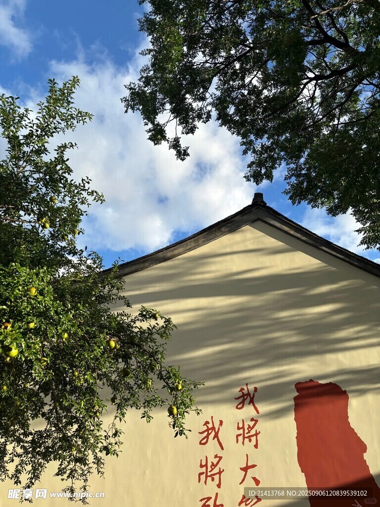 中式建筑墙面与树影