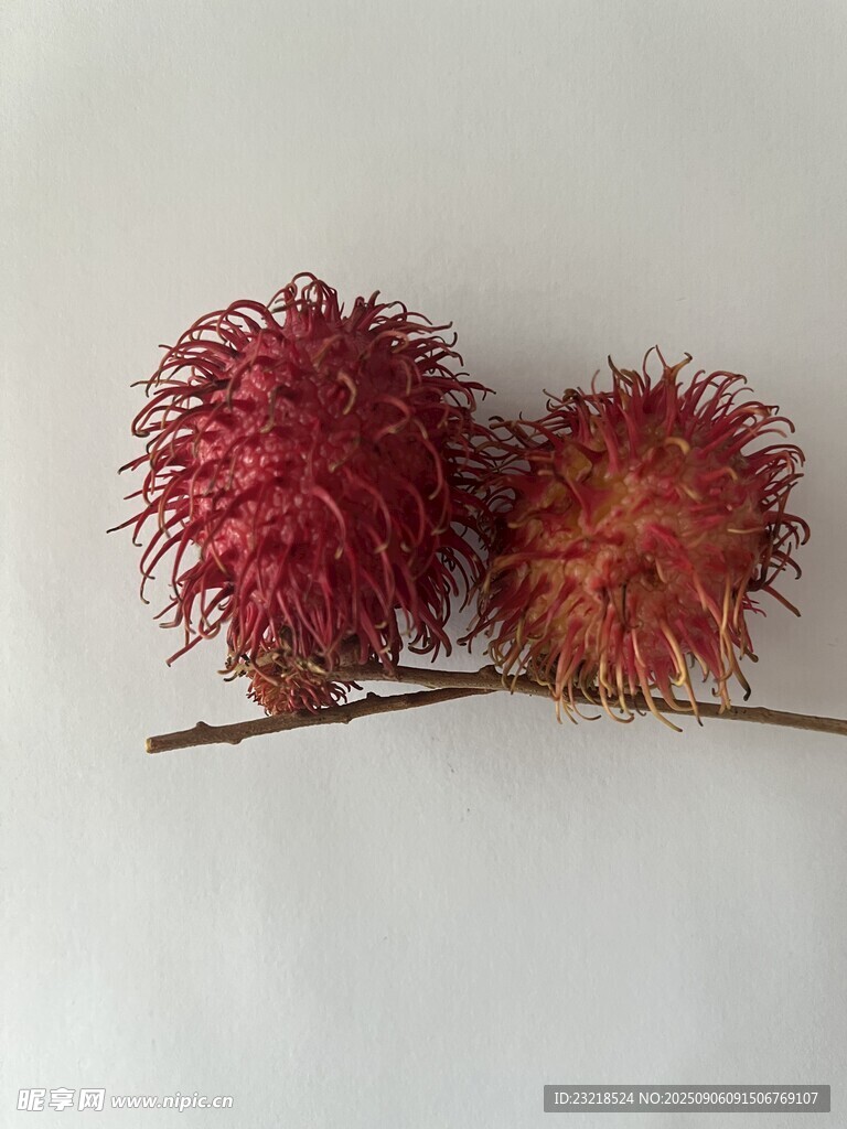 红毛丹