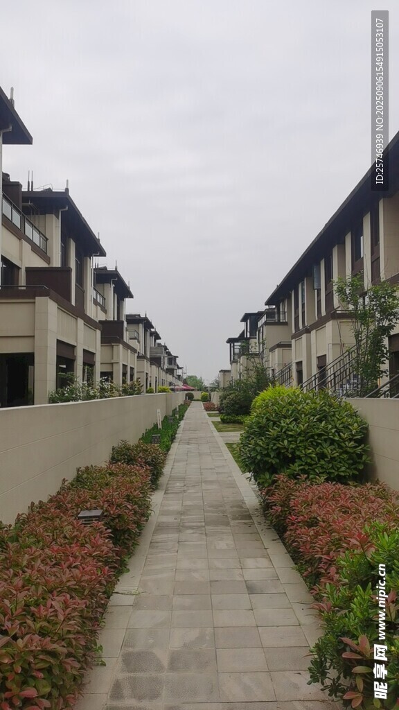 别墅小路
