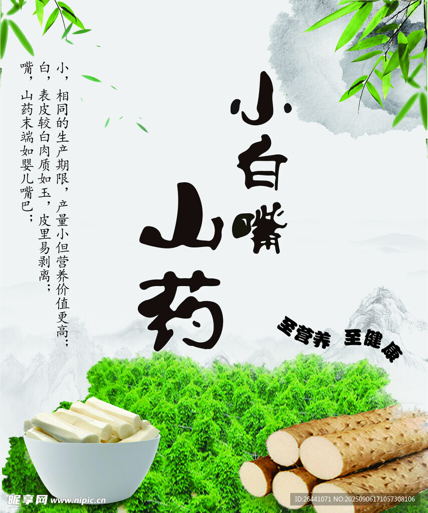 小白嘴山药特写展示