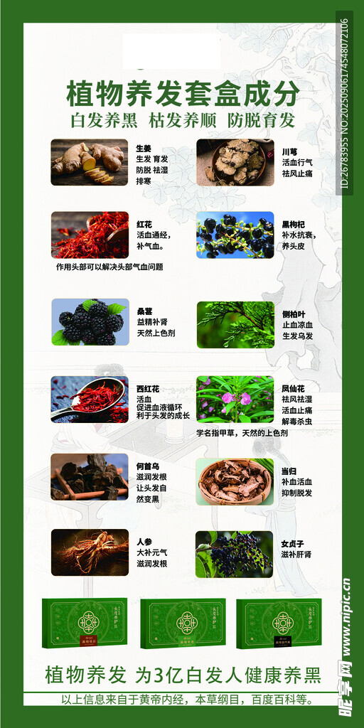 植物营养成分对比信息图