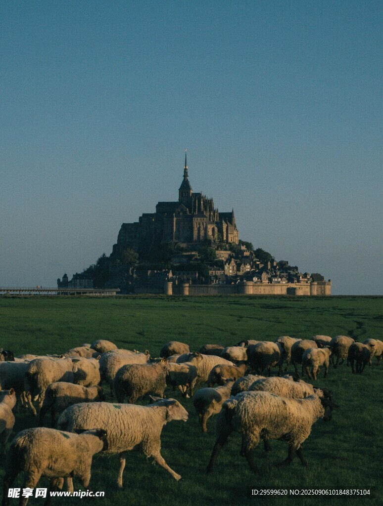 圣米歇尔山前的牧羊场景
