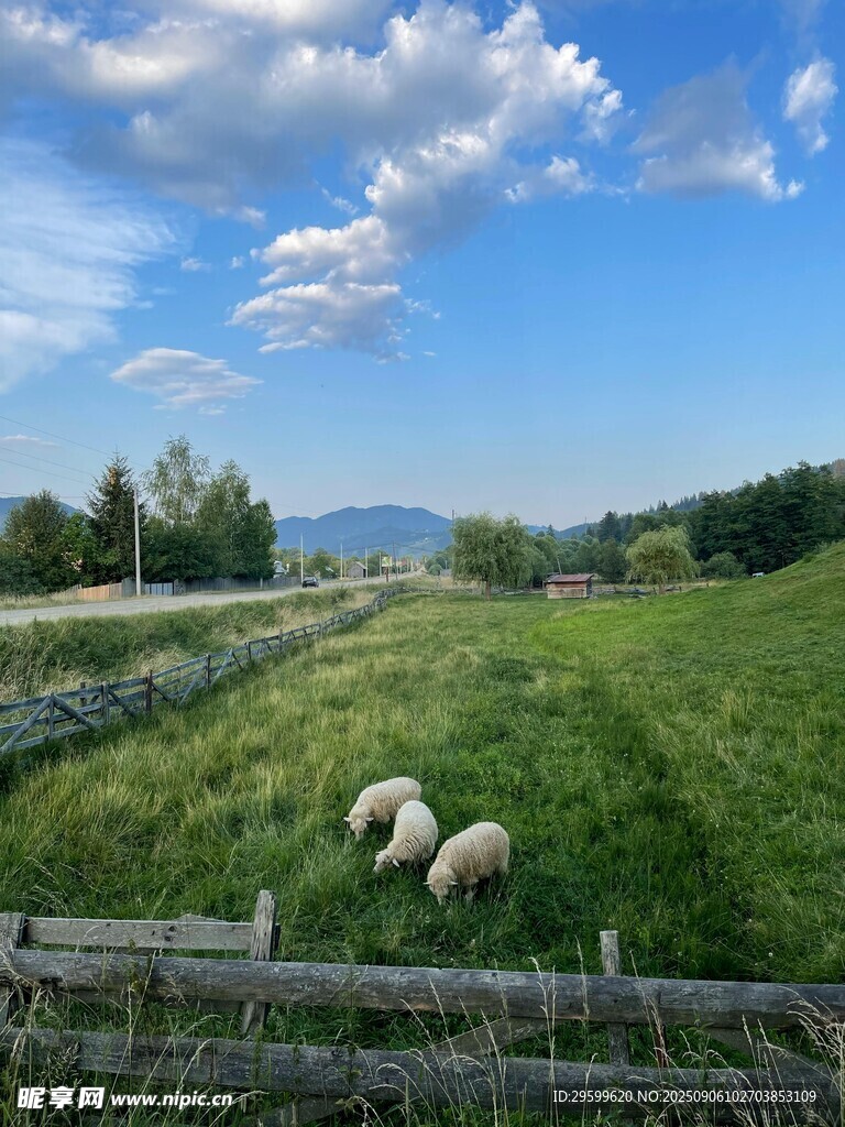 草原牧场景色 