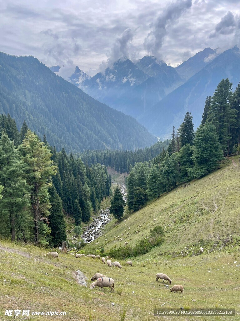 山间牧场景色如画