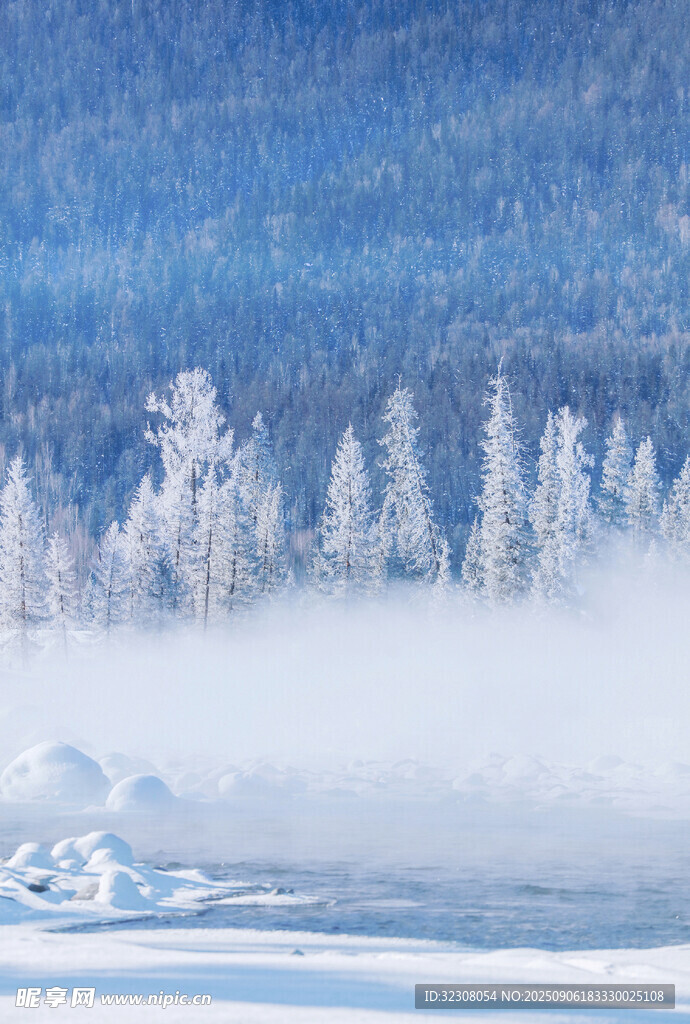 冬日雪林雾景