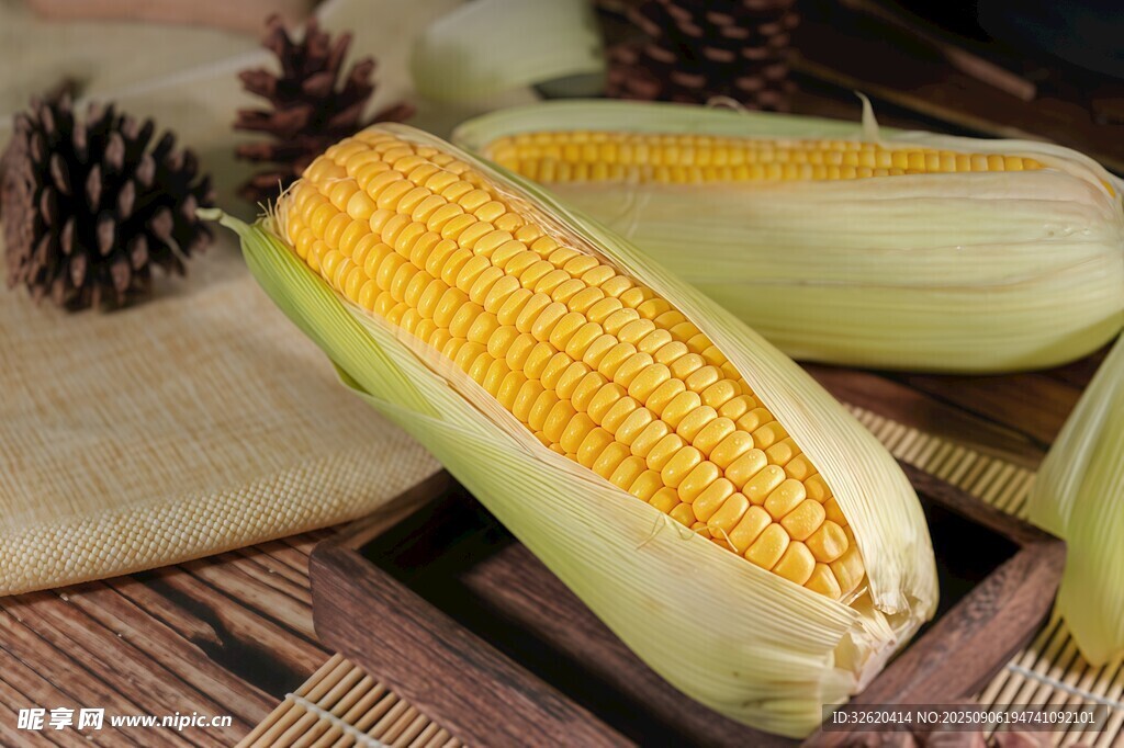 玉米
