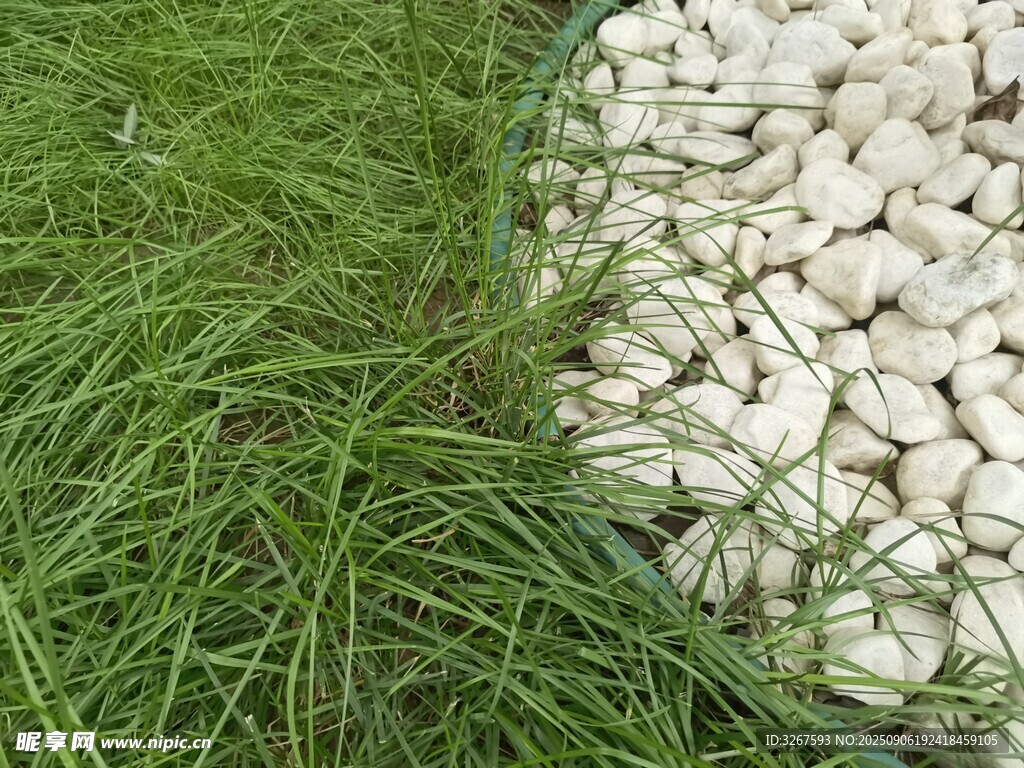 绿草与白石的自然景致