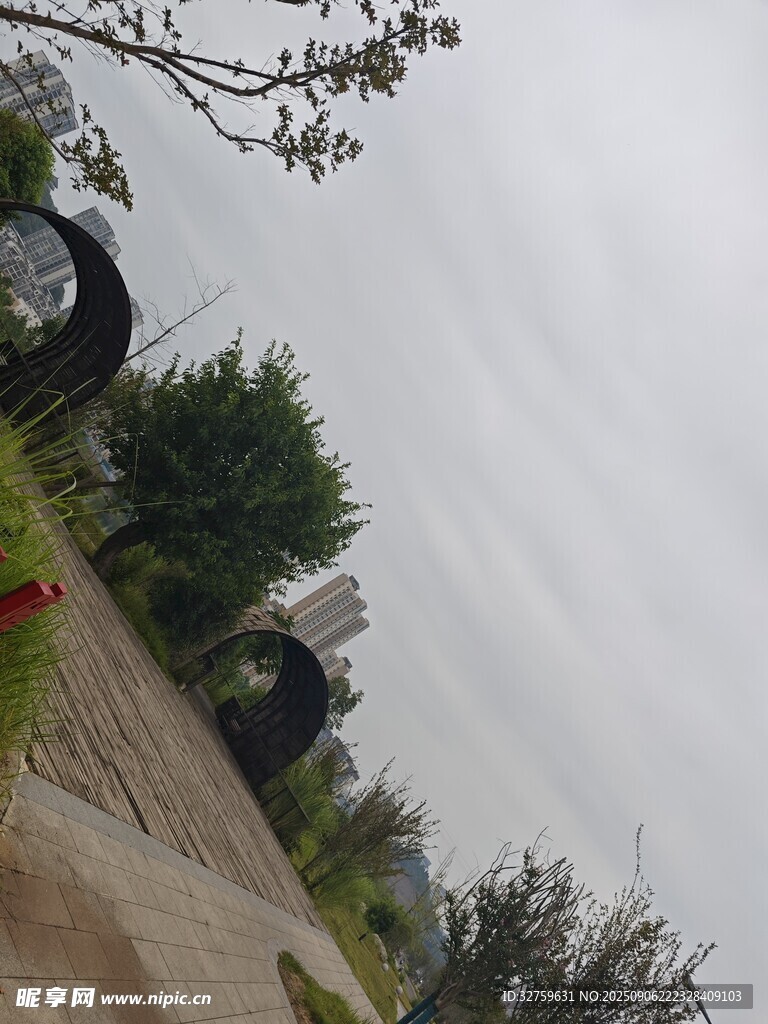 户外道路旁的绿植景观