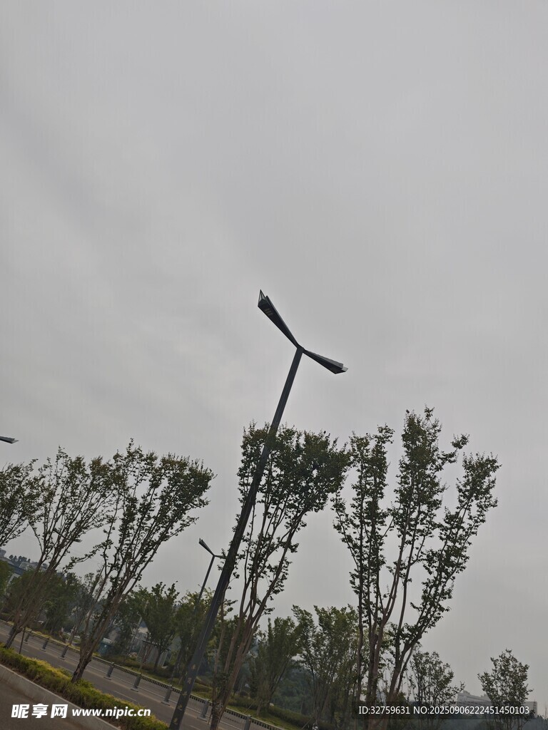 户外路灯与树木景观