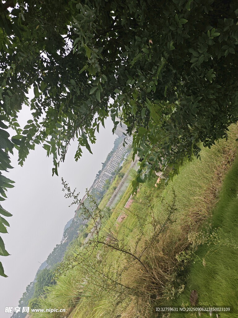 户外自然风景 
