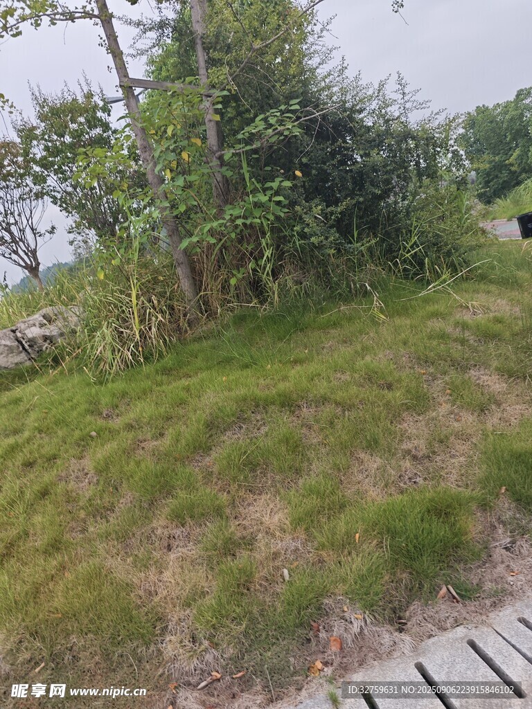 户外草地与绿植景观