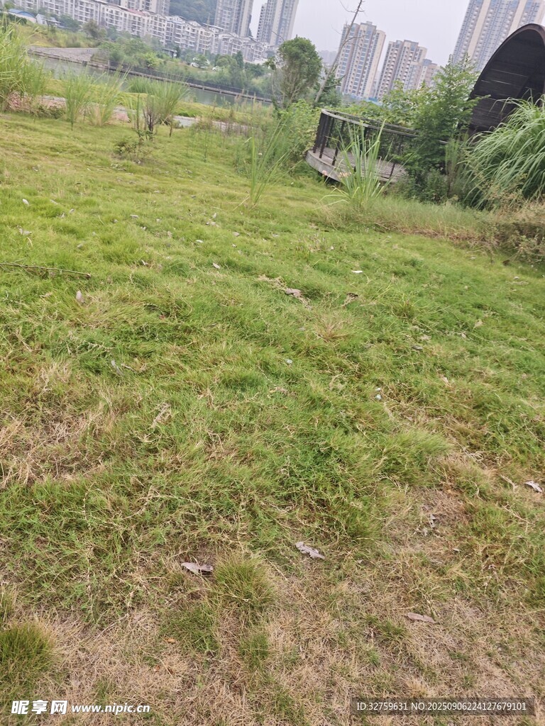 城市边的翠绿草地景观