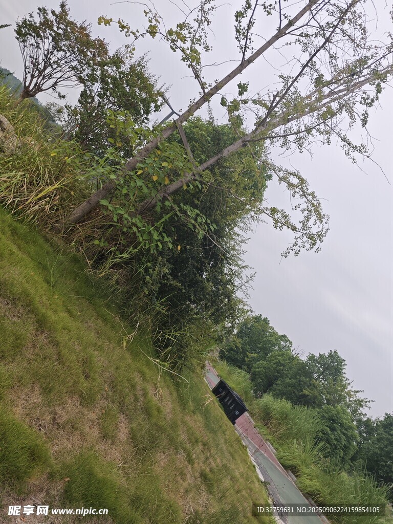 山间蜿蜒小道
