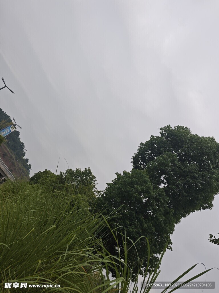 阴天绿植景观