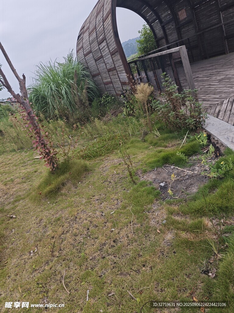 荒废庭院一角