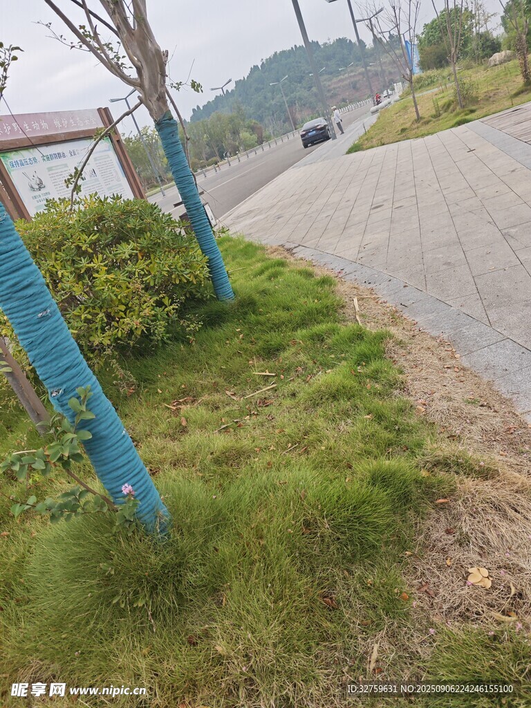 路边绿植与蓝色设施景观