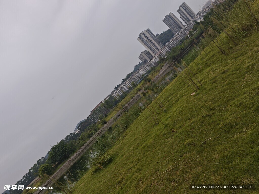 城市边的翠绿草地景观