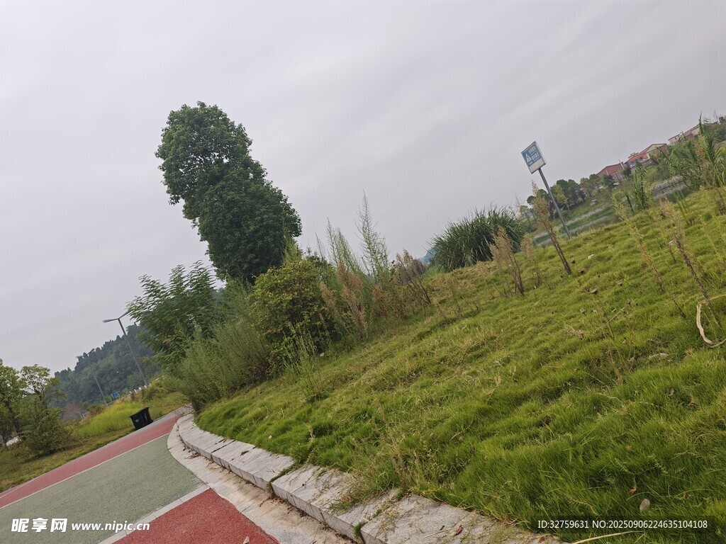户外草地旁的彩色道路