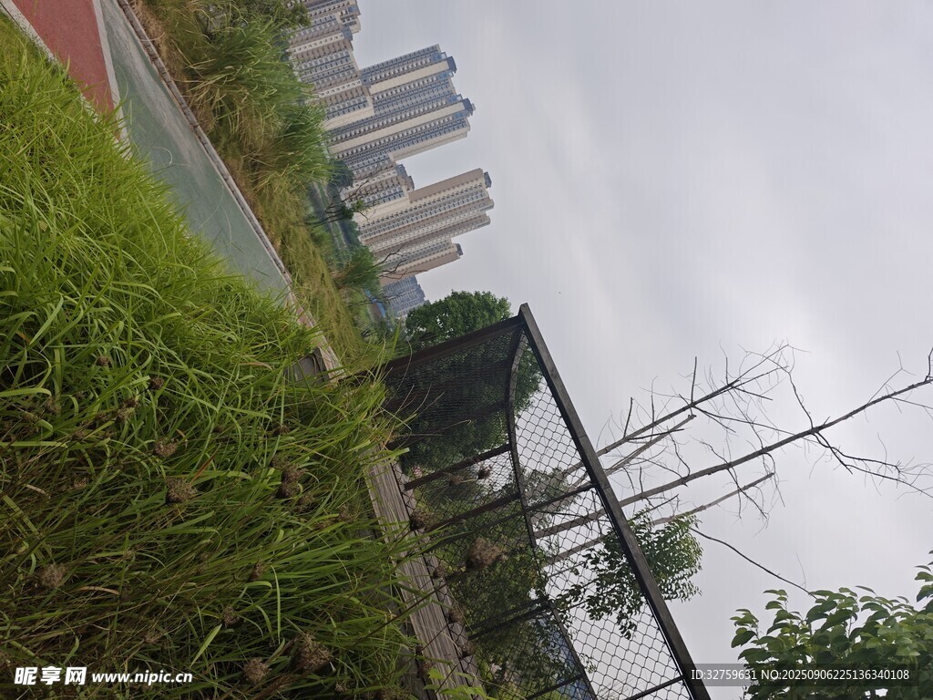 城市边缘的绿植与建筑景观