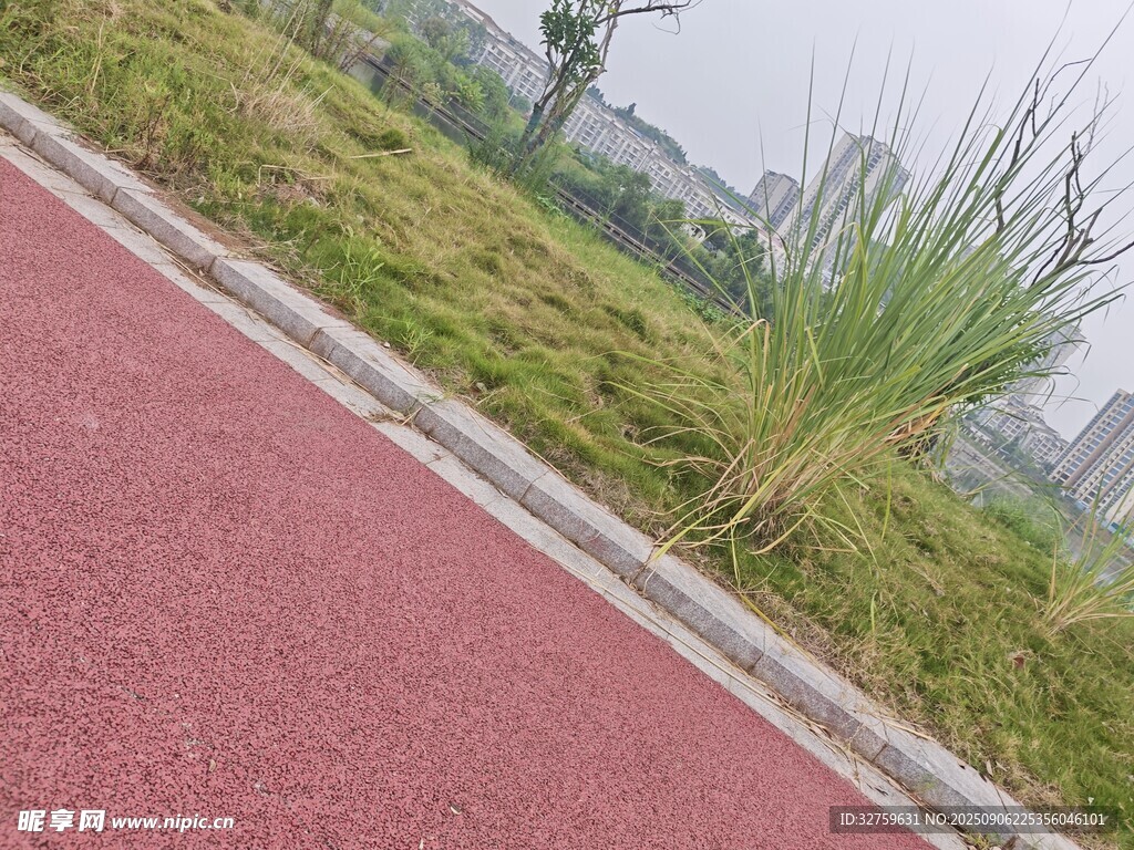 红色步道旁的绿色植物