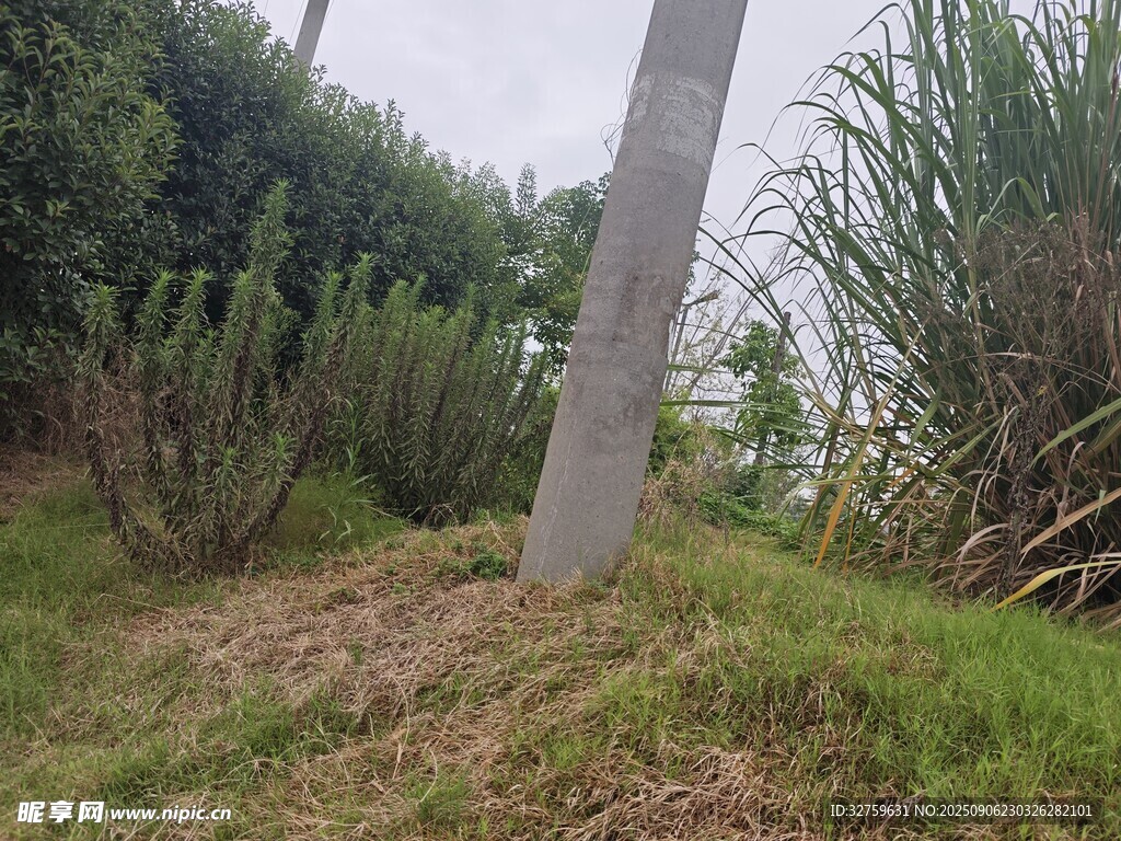 野外草地中的灰色立柱