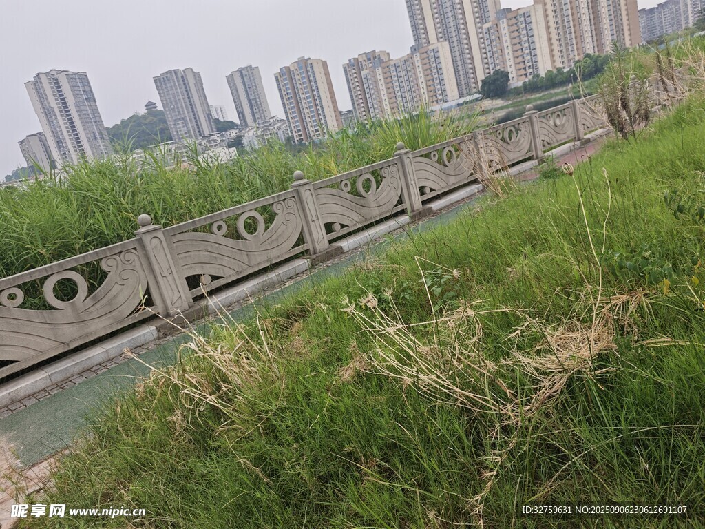 城市河畔绿植与建筑景观