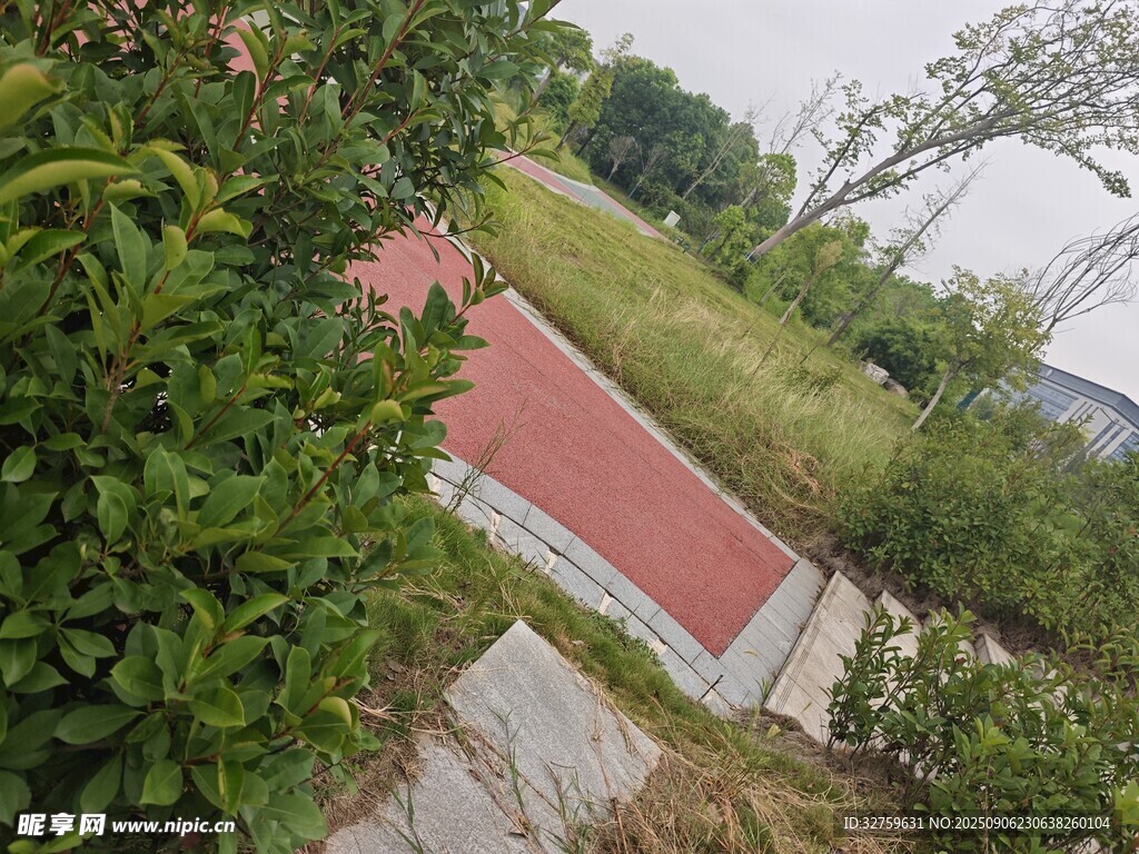 户外绿植环绕的红色步道