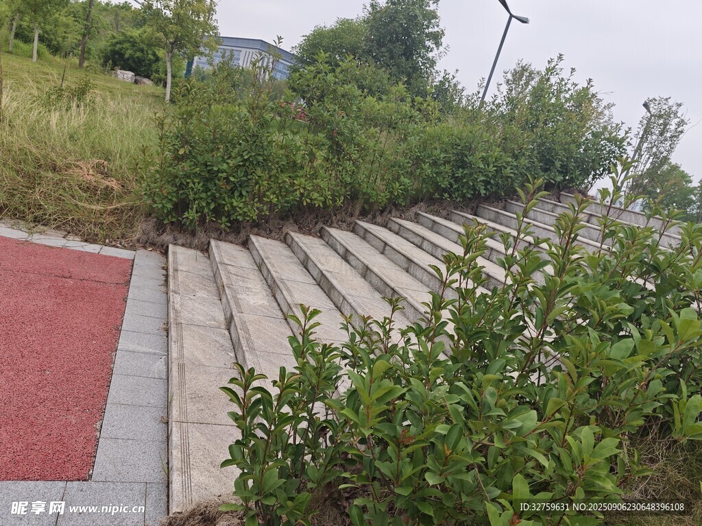 户外阶梯旁绿植景观