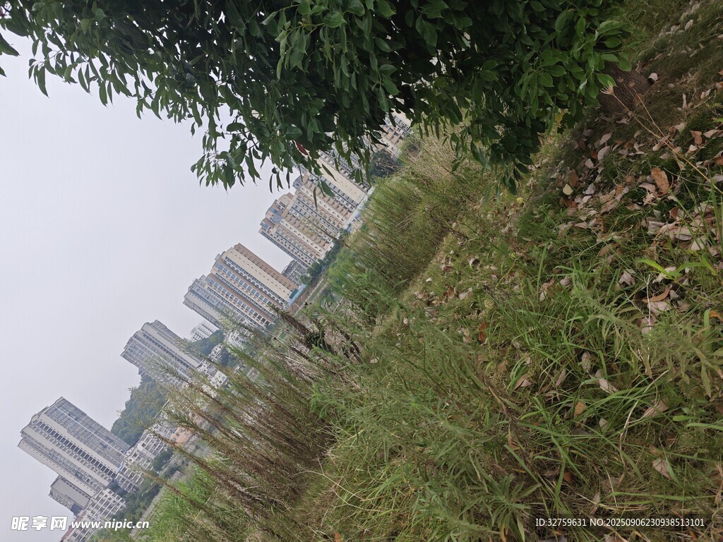 城市边的草地与高楼景观