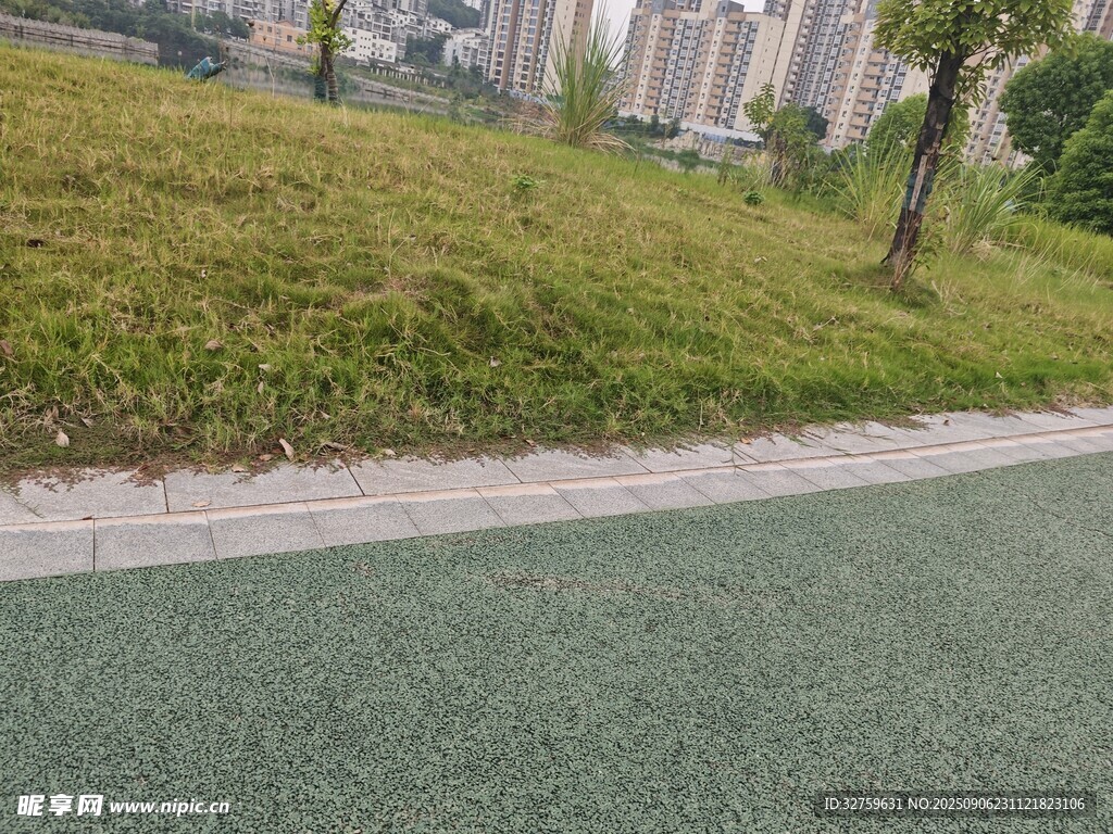 城市路边的绿地与步道