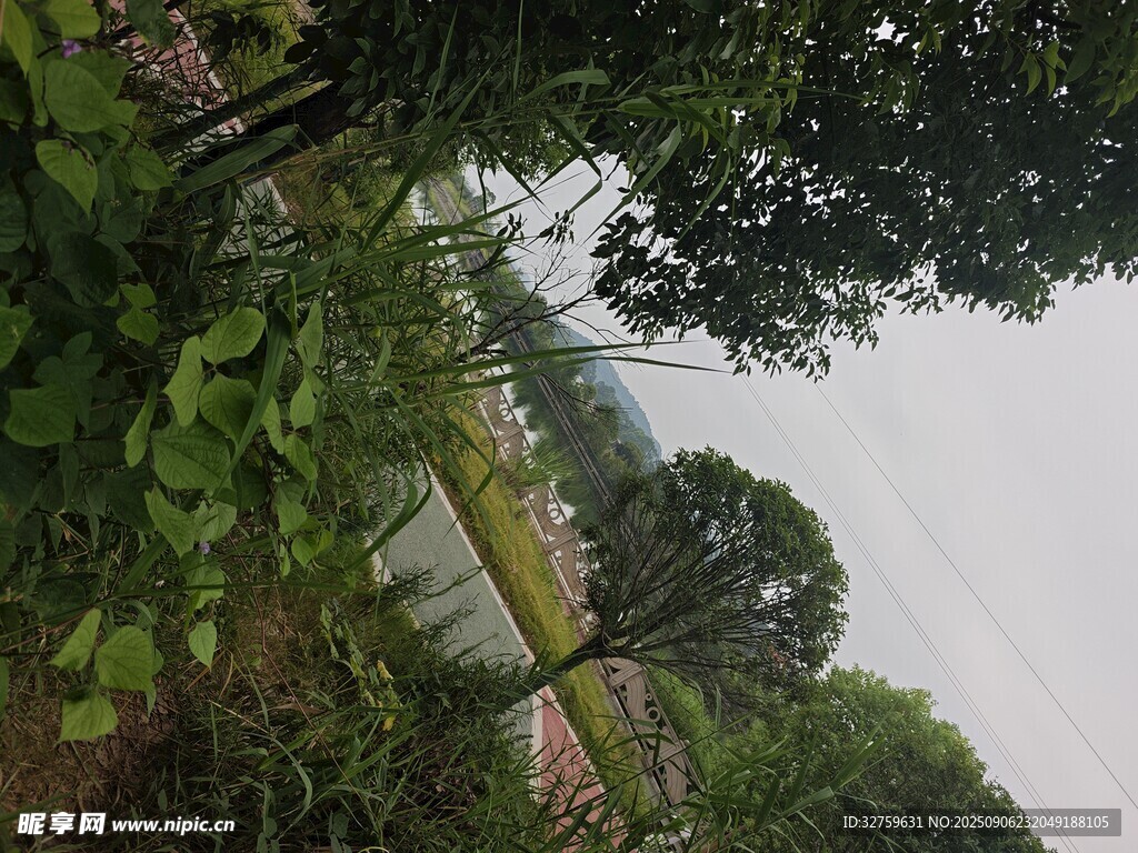 湖畔绿植环绕的自然景致