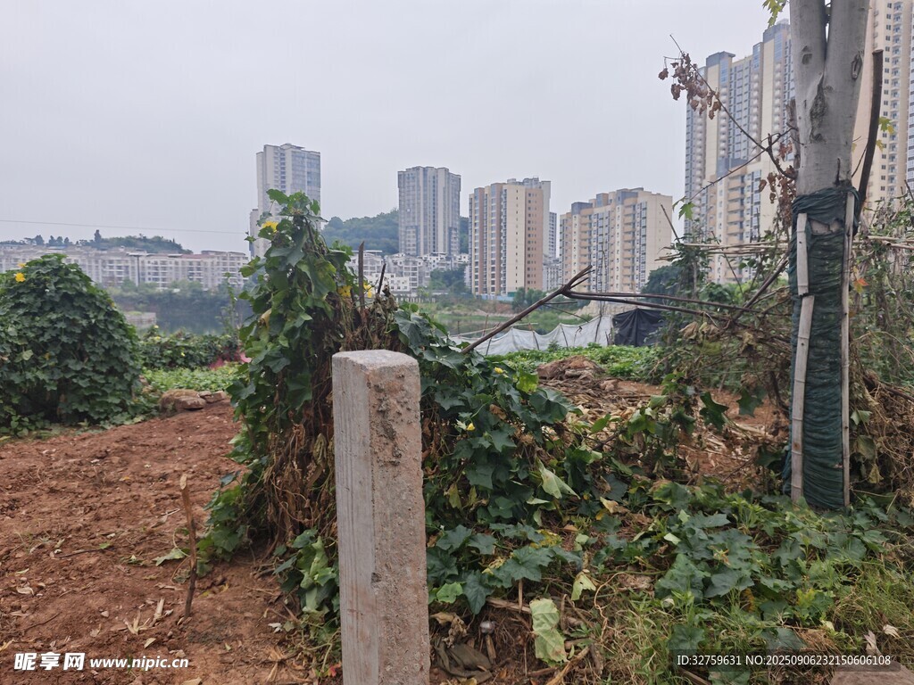 城郊荒地与远处高楼景象